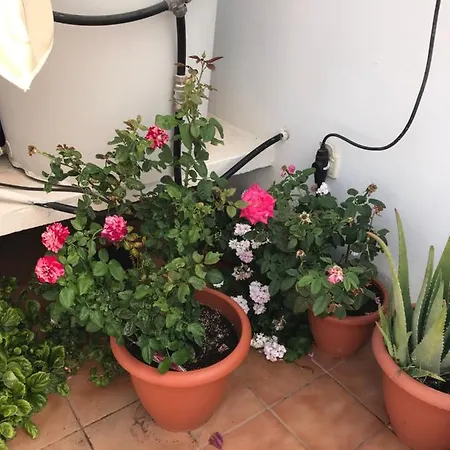 Apartment Ambar
